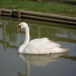 Hotel Logis Le Regal & 3*