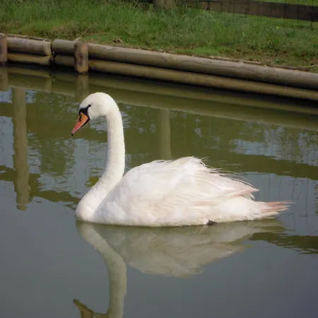 فندق Logis Le Regal & 3*