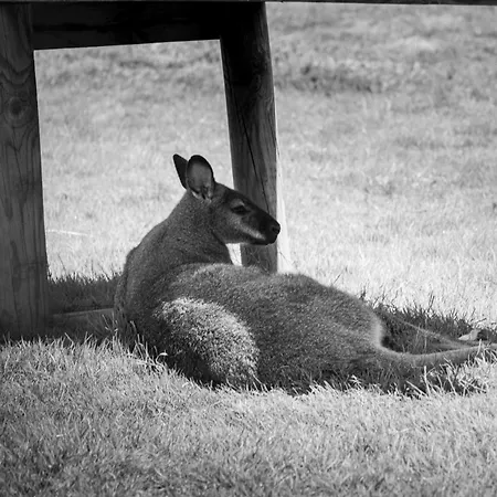 Logis Le Regal & فندق 3*