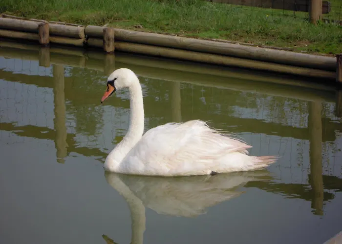 Hotel Logis Le Regal & 3*