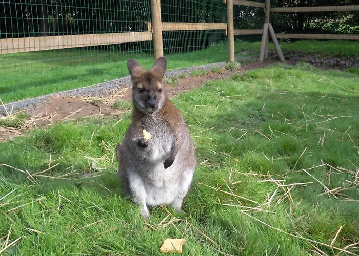 Hotel Logis Le Regal & 3*