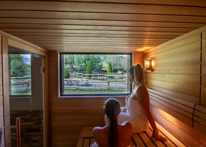 Logis Le Regal & 3* Saint-Die-des-Vosges