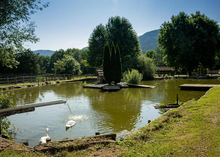 Logis Le Regal & 3* Saint-Die-des-Vosges