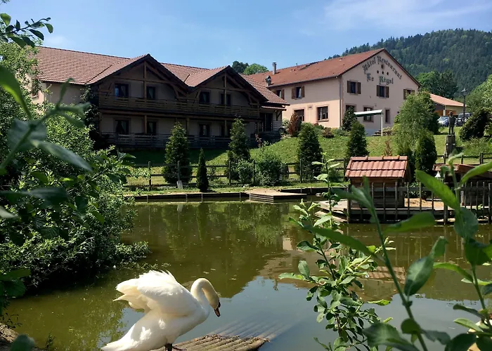 Logis Le Regal & 3* Saint-Die-des-Vosges