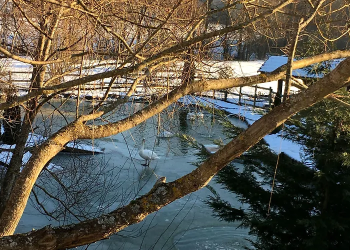 Hotel Logis Le Regal & Saint-Die-des-Vosges